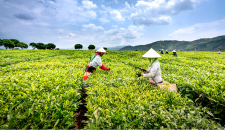 Agriculture